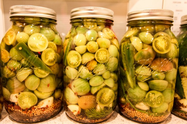 Tomates verdes, receitas para o inverno. Como cozinhar tomates verdes - em conserva, em conserva, coreano Tomates verdes, receitas para o inverno. Como cozinhar tomates verdes - em conserva, em conserva, coreano