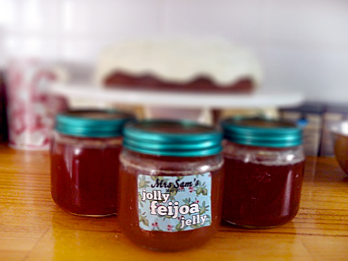 Geléia de feijoa para o inverno, uma receita com uma foto