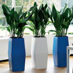 Interior phytodesign Interior phytodesign