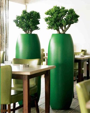Interior phytodesign Interior phytodesign