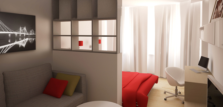 Sala de estar e quarto em um quarto (foto)