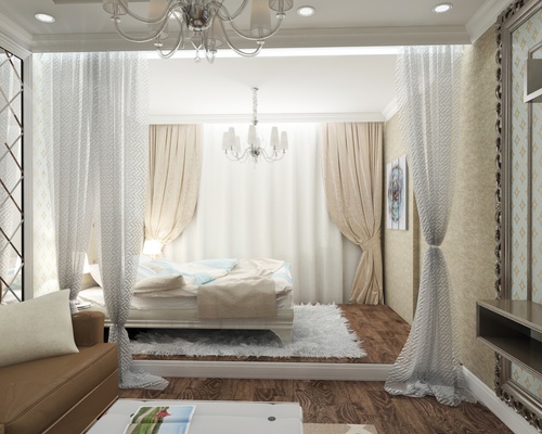 Sala de estar e quarto em um quarto (foto)