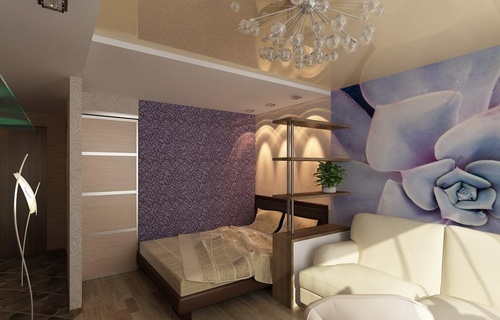 Sala de estar e quarto em um quarto (foto)