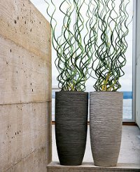 Vasos no interior