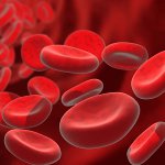 Anemia na Gravidez Anemia na Gravidez