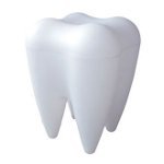 O que fazer quando o dente do jumento é cortado O que fazer quando o dente do jumento é cortado