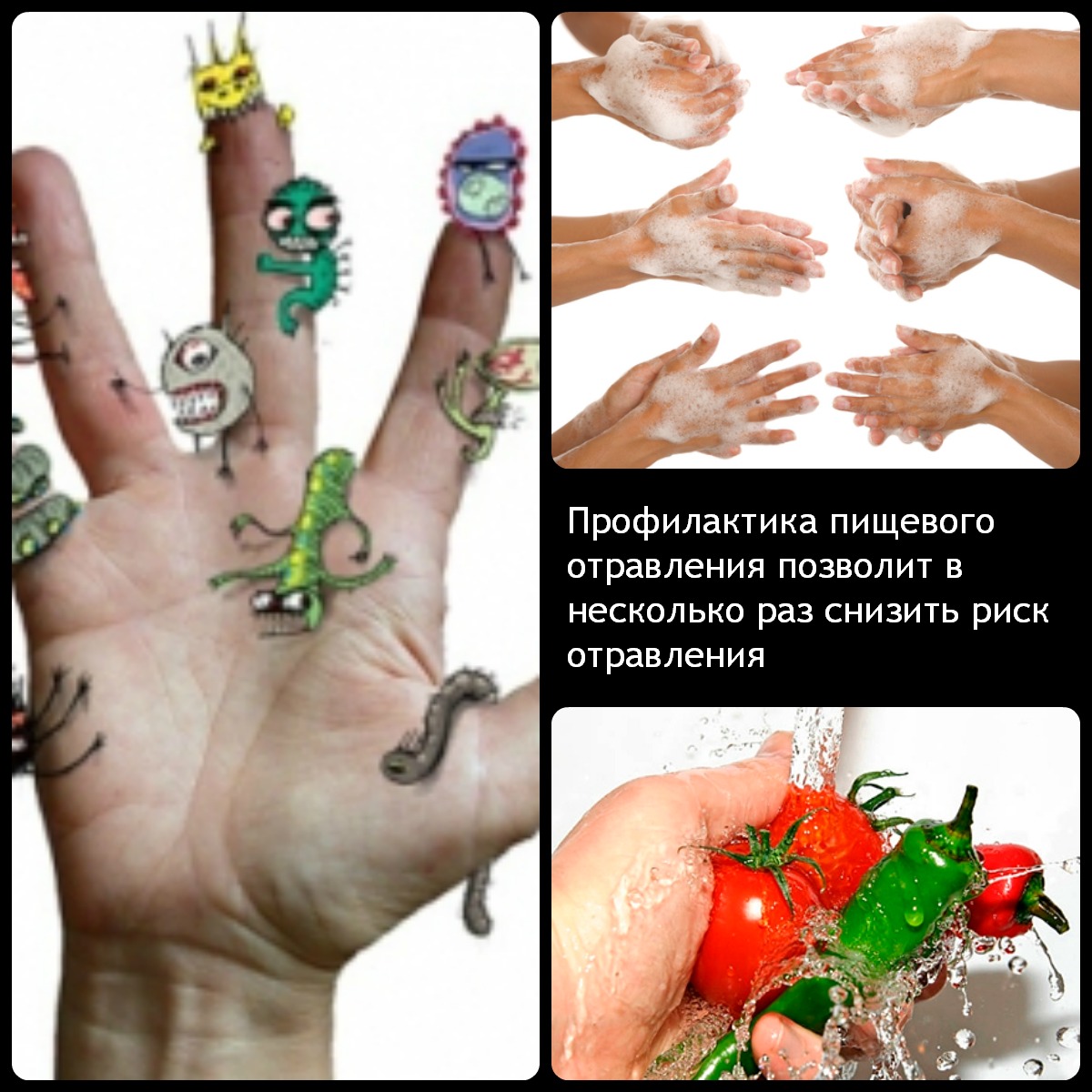 O que comer após a intoxicação