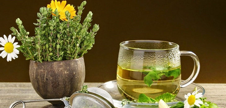 Fitoalquimia: ervas para beleza e saúde