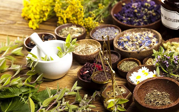 Fitoalquimia: ervas para beleza e saúde