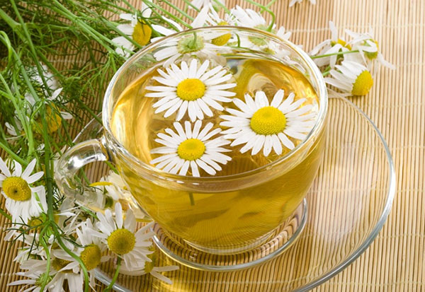 Fitoalquimia: ervas para beleza e saúde