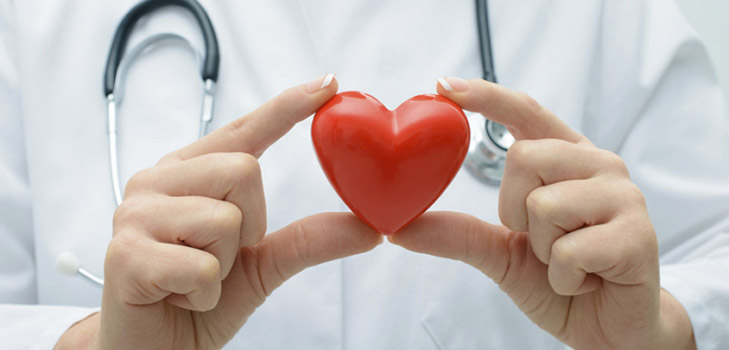 Colesterol: mitos, verdade e recomendações de nutricionistas