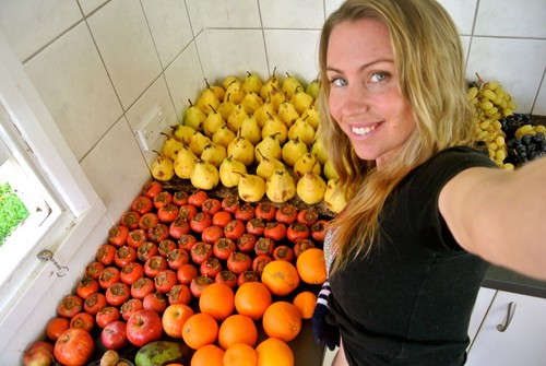 Como se tornar um vegano. 9 Passos para uma dieta saudável