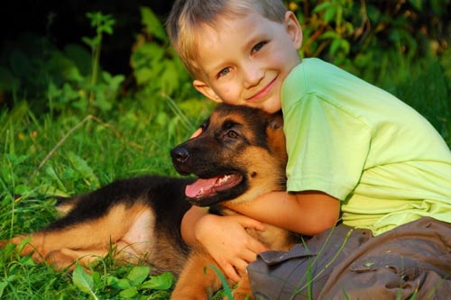 Que doenças de cães são perigosas para humanos