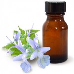 O óleo de patchouli e suas propriedades benéficas O óleo de patchouli e suas propriedades benéficas