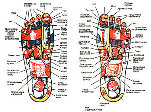 Massagem nos pés - revitalizamos o corpo
