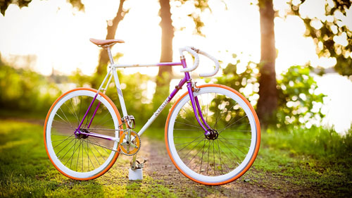 Posso perder peso andando de bicicleta?