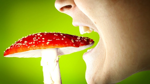 Intoxicação alimentar