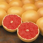 Propriedades úteis da toranja