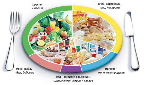 Nutrição adequada para perder peso - o que dizem comentários