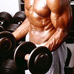 Nutrição adequada para o crescimento muscular Nutrição adequada para o crescimento muscular