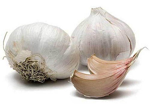 Fundos vasodilatadores