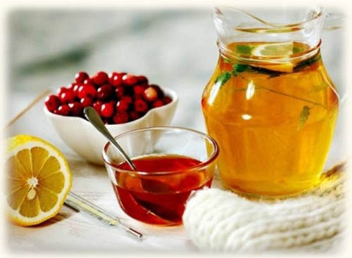 Bearberry: propriedades medicinais, aplicação, foto