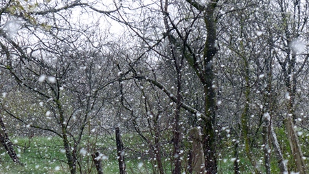 Depressão da primavera: lutando ativamente contra o mal-estar de março