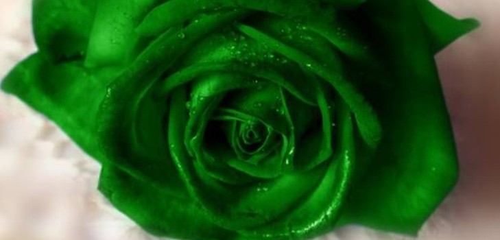 Descarga verde nas mulheres: os motivos da aparência